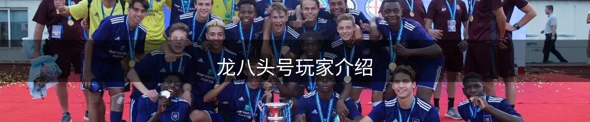 龙八头号玩家介绍